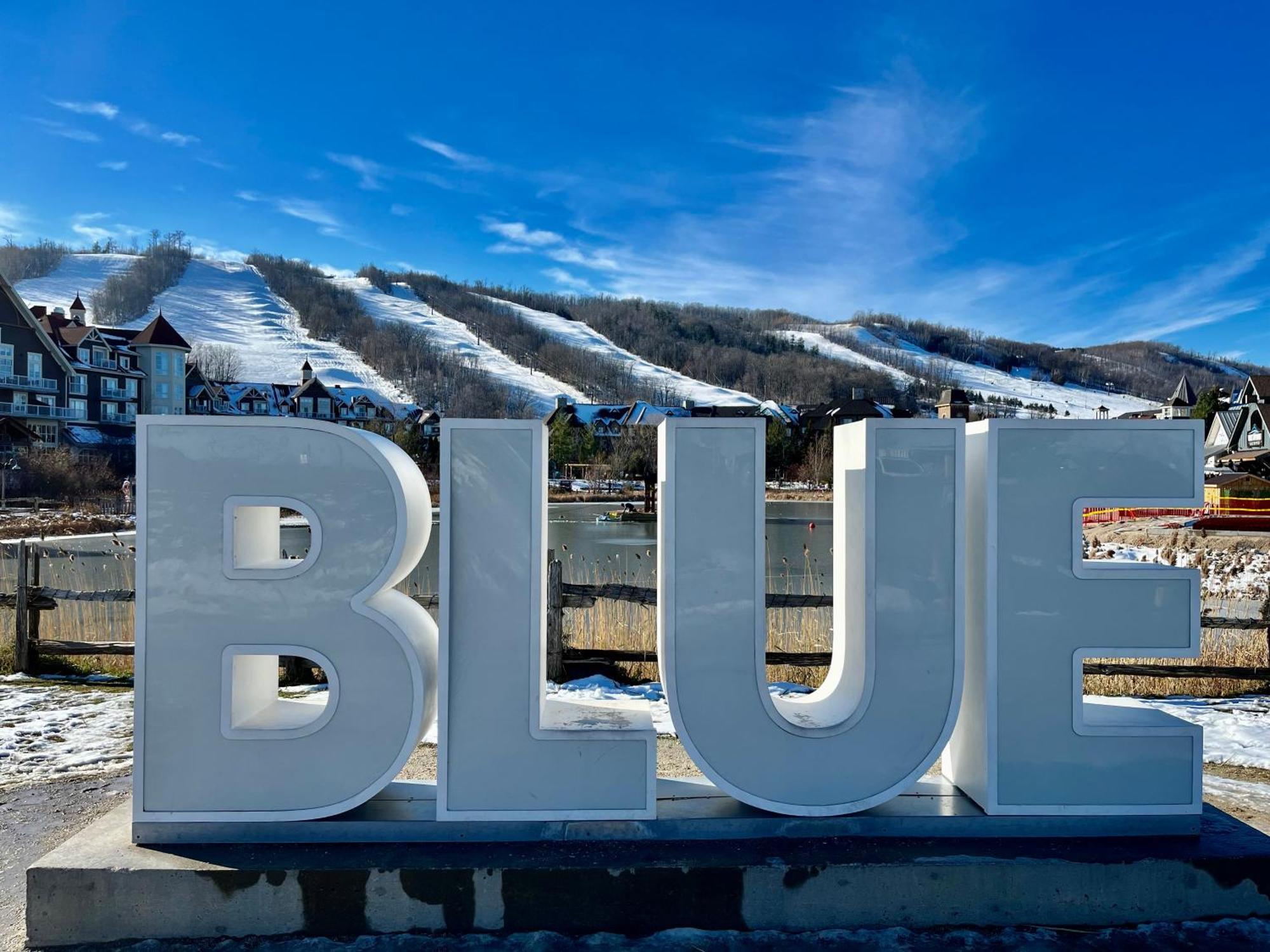 Blue Mountain Studio Oasis Блу-Маунтинс Экстерьер фото