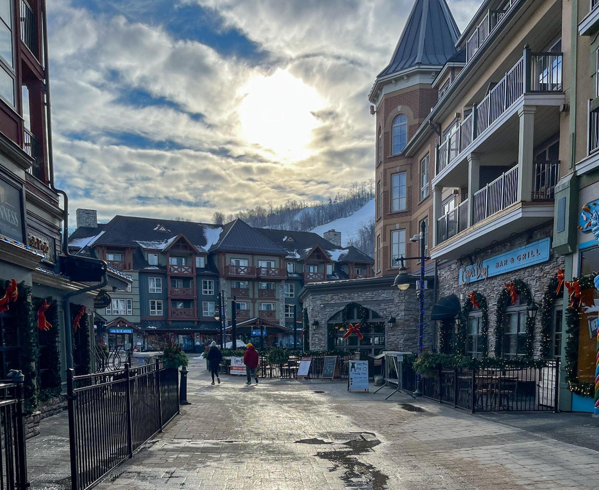 Blue Mountain Studio Oasis Блу-Маунтинс Экстерьер фото